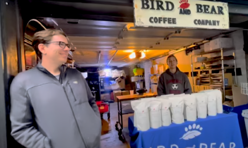 Bird & Bear: Coffee & Community!