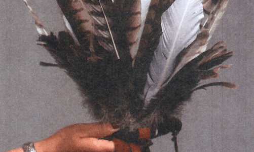 Honoring Muwekma Ohlone Land